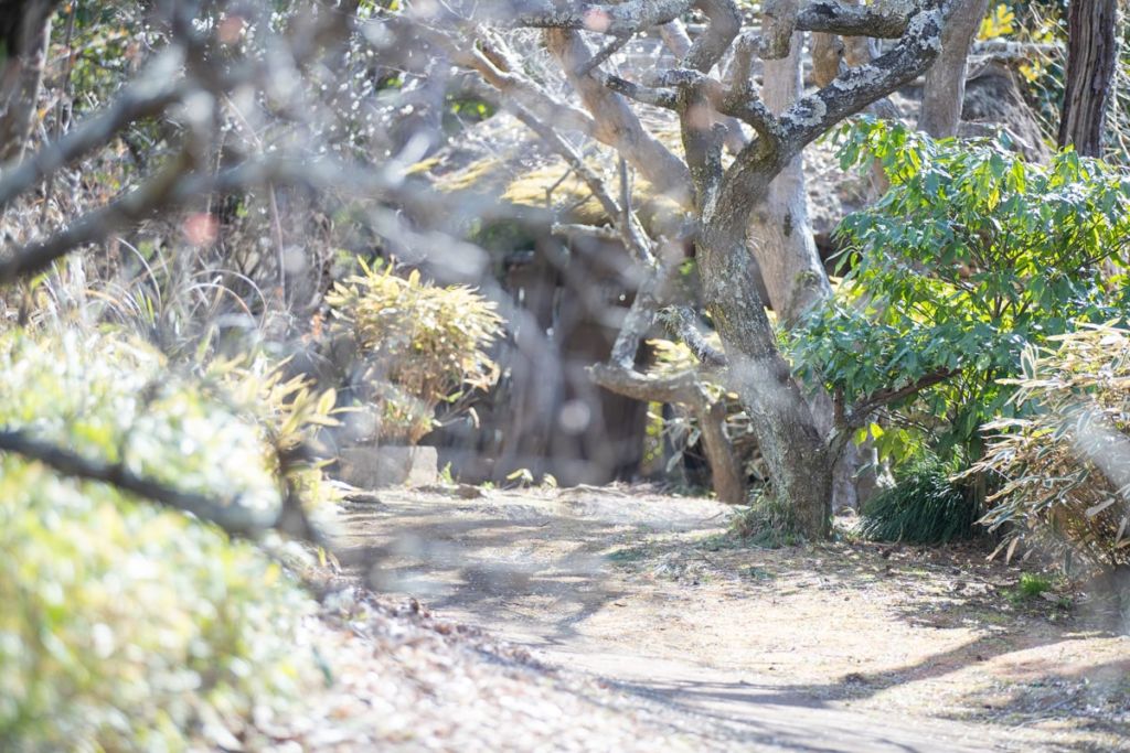 佐倉厚生園病院の庭園の風景